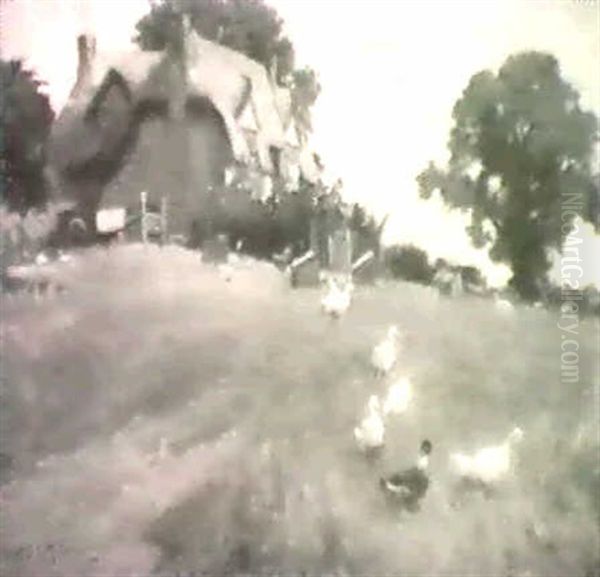 Ducks By A Cottage - view 1
