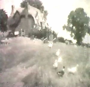 Ducks By A Cottage