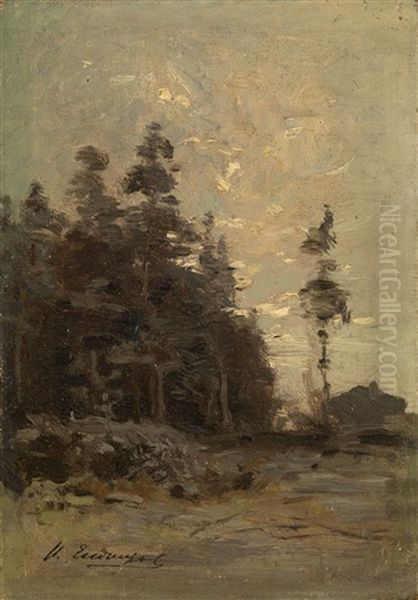Forest Landscape - view 1