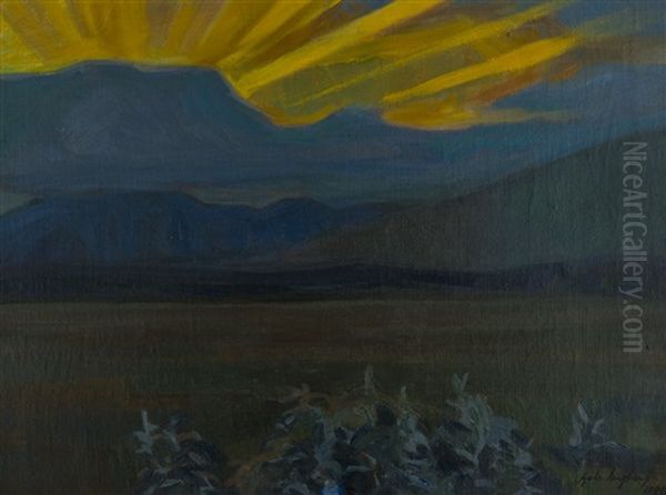 Night - view 1