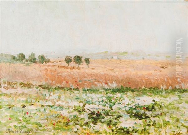 Summer Landscape - view 1