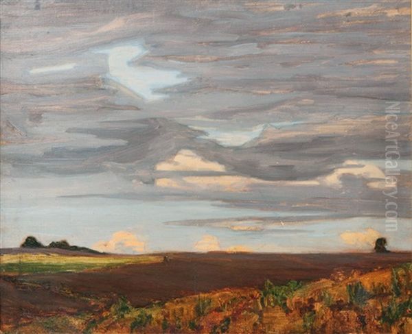 Landscape Near The Flensburg Fjord - view 1
