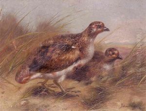 Perdreaux by Piet Van Engelen