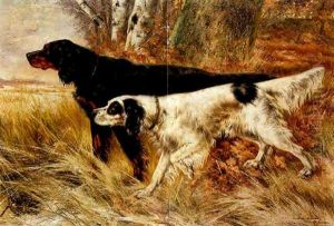 Bella, Stella by Piet Van Engelen