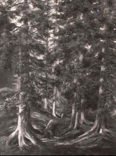 Waldlandschaft - view 1