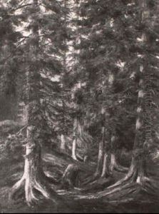 Waldlandschaft
