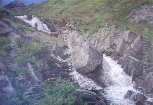 Wildbach - view 1