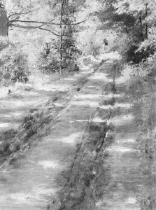 Sonnendurchfluteter Weg Sonnendurchfluteter Weg