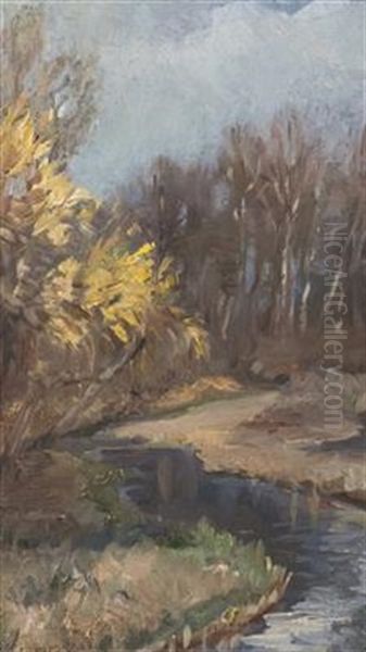 Brook - view 1