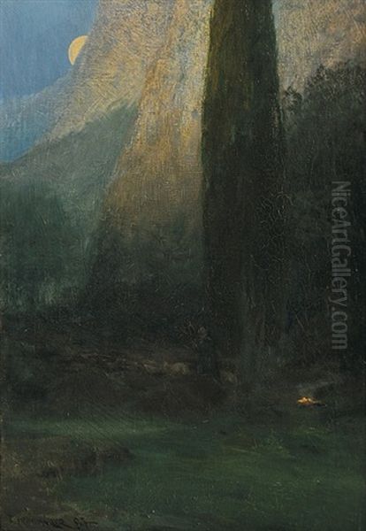 Night Pasture - view 1