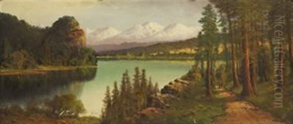 Olympic Mountains, Washington - view 1