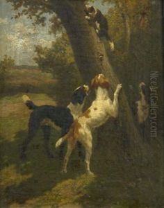 Auf Der Flucht. Katze Bringt Sich Vor Drei Hunden Auf Einem Baum In Sicherheit Auf Der Flucht. Katze Bringt Sich Vor Drei Hunden Auf Einem Baum In Sicherheit