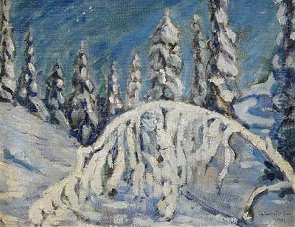 Vinterlandskap Med Snotyngda Granar - view 1