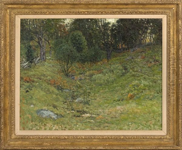 Spring Meadow Landscape - view 1