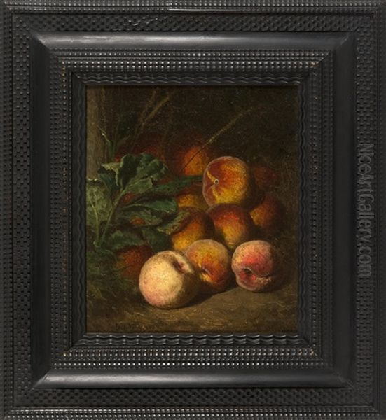Still Life Of Peaches - view 1