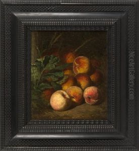 Still Life Of Peaches