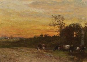 Cows In A Pasture