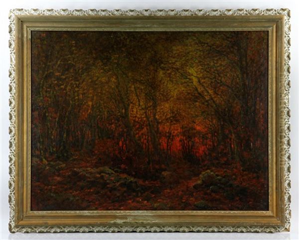 Forest Landscape At Dusk - view 1