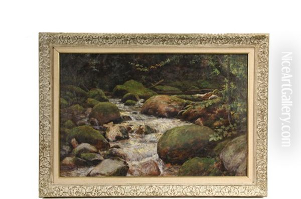 Woodland Whitewater - view 1