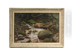 Woodland Whitewater