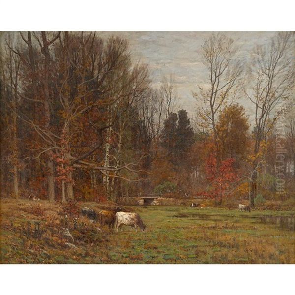 November - view 1