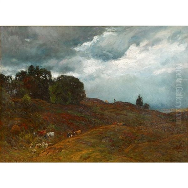 Livestock At Dusk - view 1