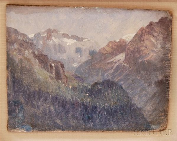 A View In The Swiss Alps - view 1