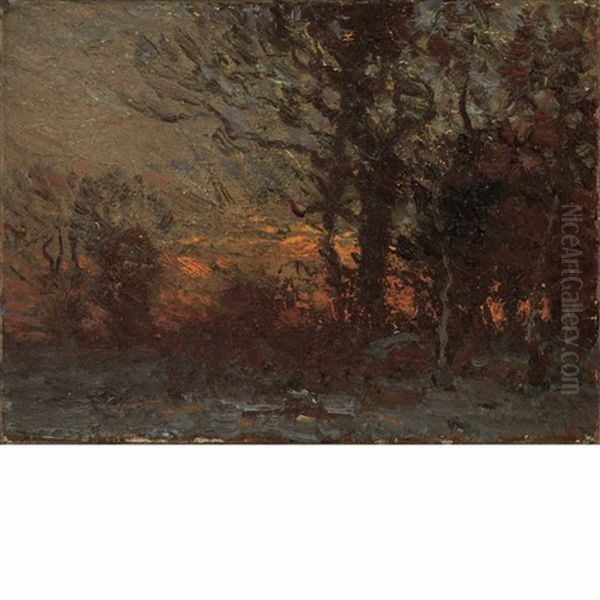 Sunset In The Woods - view 1