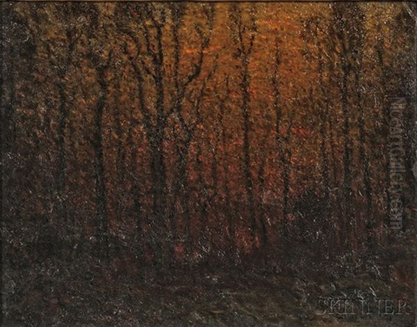 Nightfall - view 1