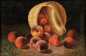 Peaches Spilling From An Overturned Basket Peaches Spilling From An Overturned Basket