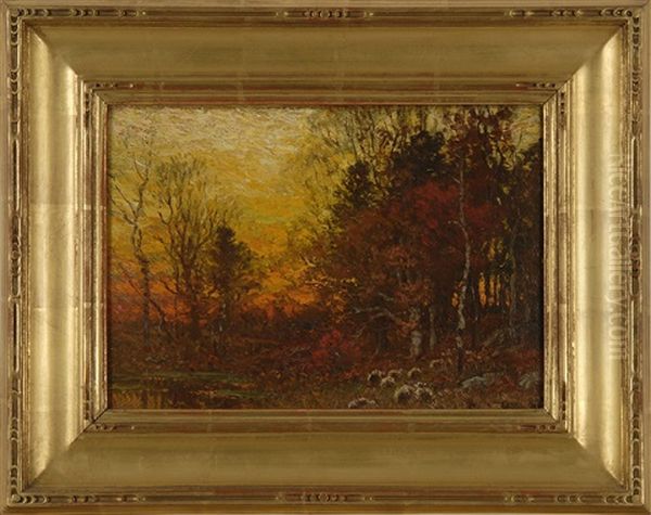 Brilliant Sunset Through The Trees - view 1
