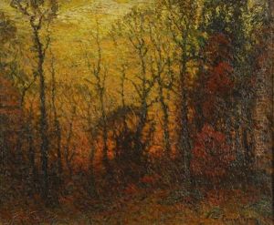 Sunset Through Forest