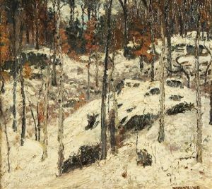Snow Covered Forest Snow Covered Forest