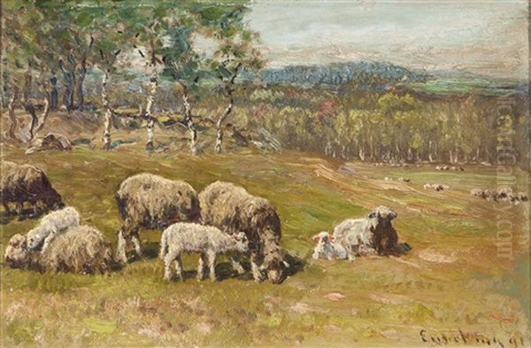 Sheep Grazing In A Landscape - view 1
