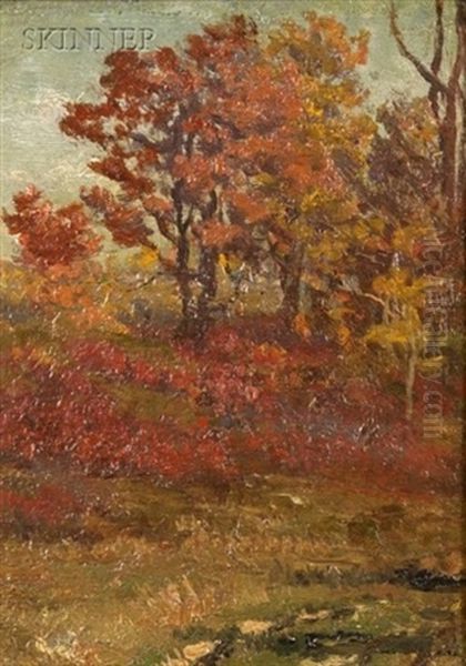 Autumn Oak - view 1