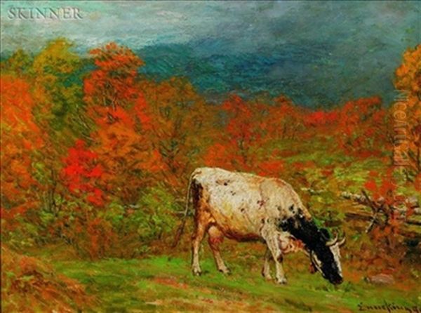 Cow Grazing In An Autumn Field - view 1