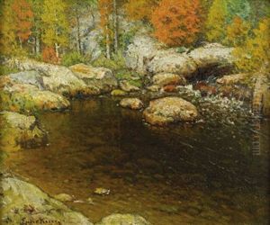 Rocky Pool