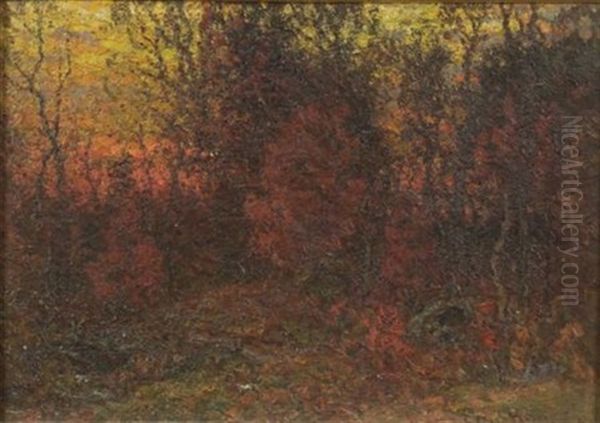 The Landscape - Edge Woods - view 1