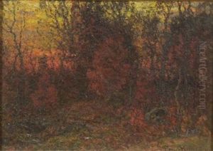 The Landscape - Edge Woods