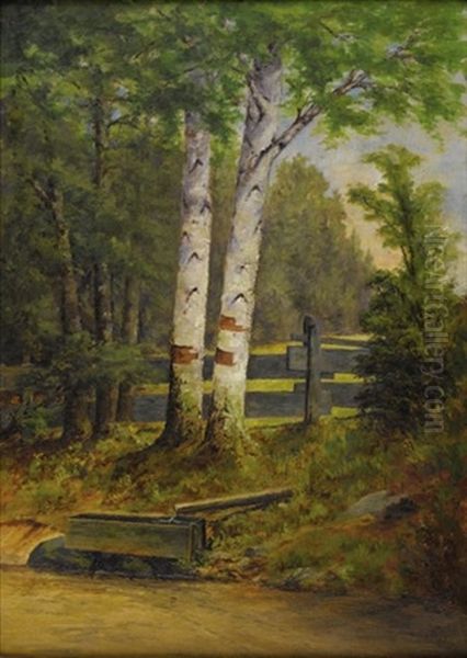 Maud's Spring - view 1