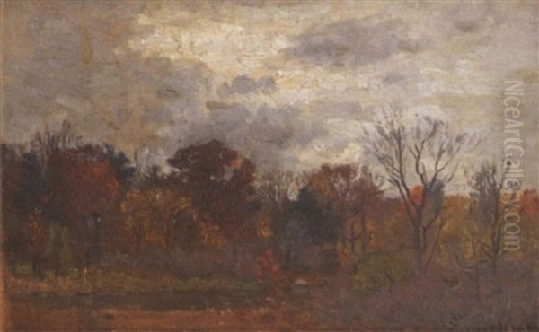An Autumnal Landscape Under A Cloudy Sky - view 1