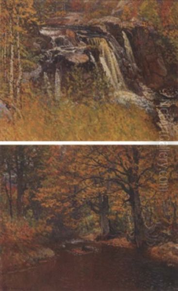 A Wooded Stream In Autumn - view 1