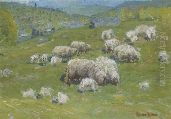 Sheep Grazing - view 1