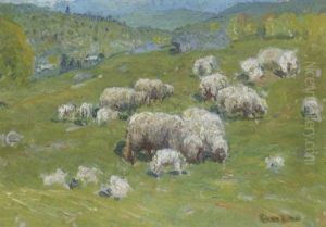 Sheep Grazing Sheep Grazing