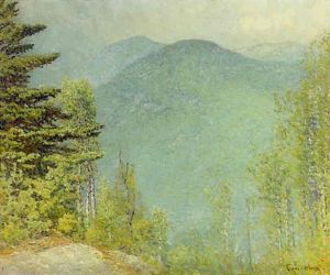 Mountain Vista With Pines