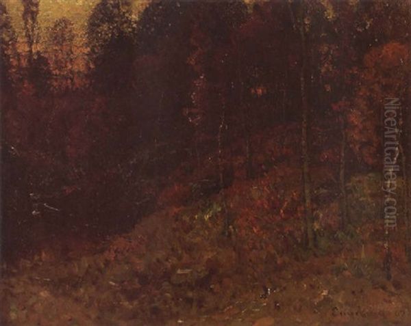 A Quiet Stream - view 1