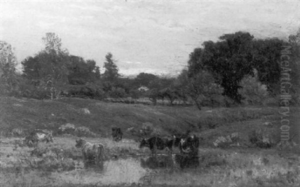 Cows Watering - view 1