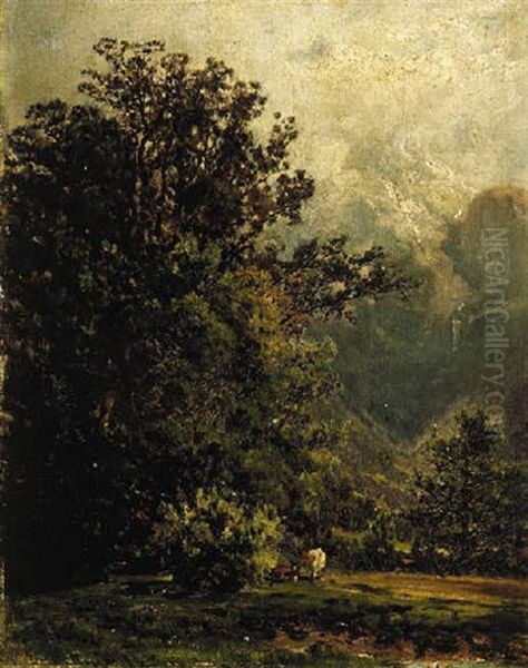 A Mountain Landscape - view 1