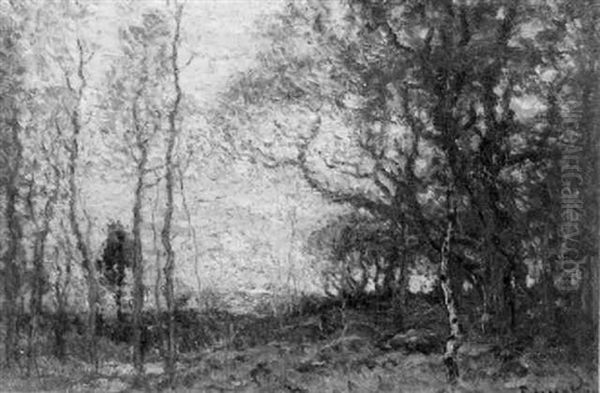 Autumn Woods At Sunset - view 1