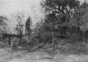 Autumn Colors by John Joseph Enneking